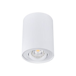 OPRAWA PUNKTOWA SUFITOWA BORD DLP 50-W KANLUX