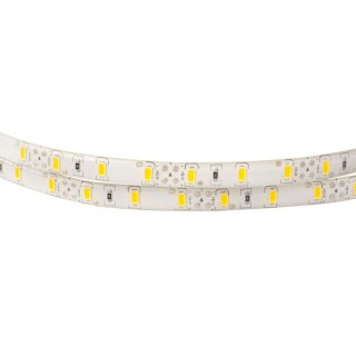 Taśma LED 5630 300 95W 12V IP63 6500K 1550lm/1m /5m/