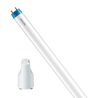 Świetlówka LED G13 T8 8W 800lm 6500K Zimna 240° 60cm PHILIPS CorePro LEDtub