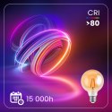 Żarówka Dekoracyjna Kula LED E27 G125 7W = 60W 806lm 2000K Ciepła Filament