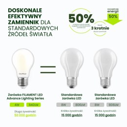 Żarówka LED E27 A60 4W = 60W 840lm 3000K Ciepła 360° Szklana Filament ALS