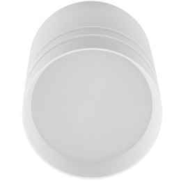 Oprawa Natynkowa HALOGENOWA Spot Tuba ARISA GU10 Okrągła Biała 80mm