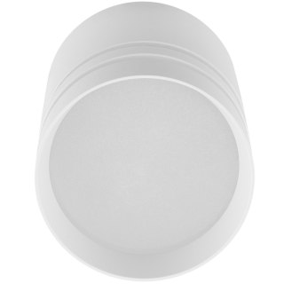 Oprawa Natynkowa HALOGENOWA Spot Tuba ARISA GU10 Okrągła Biała 80mm