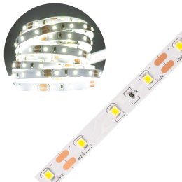 Taśma LED 4.8W/m ZIMNA 6500K 300lm/m 12V DC IP20 1m
