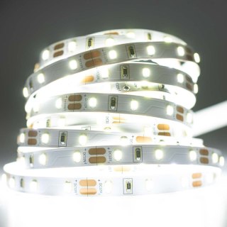 Taśma LED 4.8W/m ZIMNA 6500K 300lm/m 12V DC IP20 1m