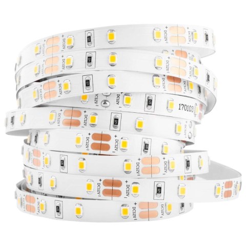 Taśma LED 4.8W/m ZIMNA 6500K 300lm/m 12V DC IP20 1m