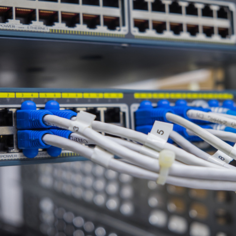 Kabel Sieciowy U/UTP cat.6 BiTLAN 350MHz LAN Skrętka Wewnętrzna