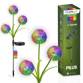Lampa Solarna Ogrodowa LED PILUS RGB Wbijana Dekoracyjna Kwiat Czosnek