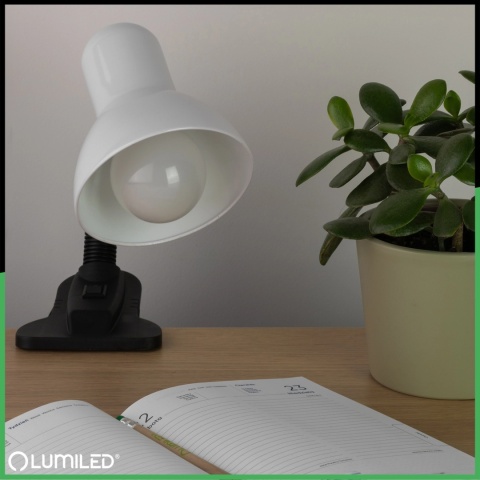 Nowoczesna lampka stołowa LIRIA biała – idealna do nauki i pracy