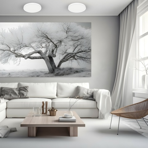 Plafon MAQ okrągły 18W 1850lm Biały Zmiana barwy światła 3000K 4000K 6500K