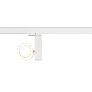 Reflektor Ojo 25W 2700/4000K Biały 3 Obwodowy