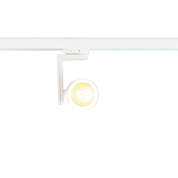 Reflektor Timor 30W 2700/4000K Biały 3 Obwodowy