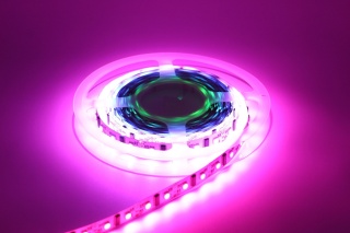 Taśma LED RGBW Kolorowa SMD 5050 5M Multikolor + Biały Neutralny 4000K IP20