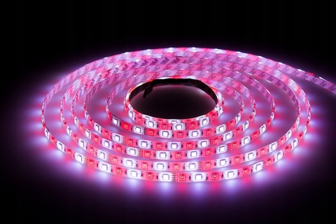Taśma LED RGBW Kolorowa SMD 5050 5M Multikolor + Biały Neutralny 4000K IP20