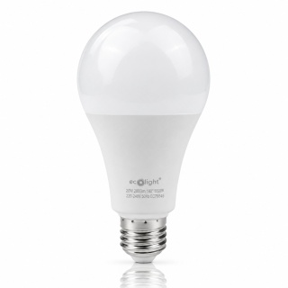 Żarówka LED E27 20W 6500K 2000lm ECO LIGHT EC79845