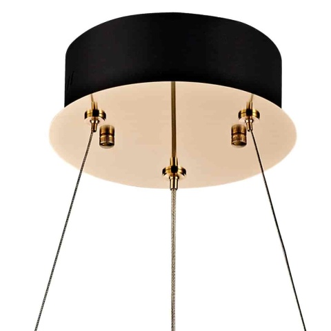 Czarno-złota podsufitka i zawieszenie lampy KINGDOM ML2785